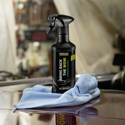Средство для мытья стекол Karcher RM 650 и очиститель салона Karcher RM 651 в комплекте
